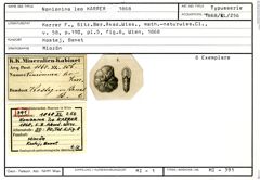 Karteikarte zum Syntyp von Nonionina leo Karrer, 1868